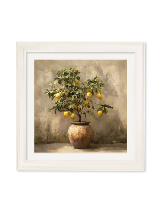 Mediterranean Lemon Tree - Cream Hurstwood Square Frame - Blythe Living