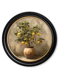 Mediterranean Lemon Tree - Oxford Round Frame - Blythe Living