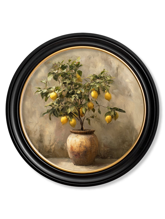 Mediterranean Lemon Tree - Oxford Round Frame - Blythe Living