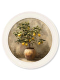 Mediterranean Lemon Tree - Oxford Strong White Round Frame - Blythe Living