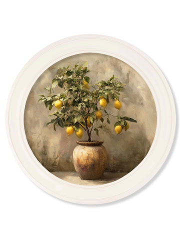Mediterranean Lemon Tree - Oxford Strong White Round Frame - Blythe Living