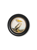 c.1838 Audubon's Pelican - Light - Round Frame - Blythe Living