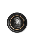 Wildlife Photography - Lion - Round Frame - Blythe Living