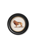 c.1800s Lion & Lioness - Round Frames - Blythe Living