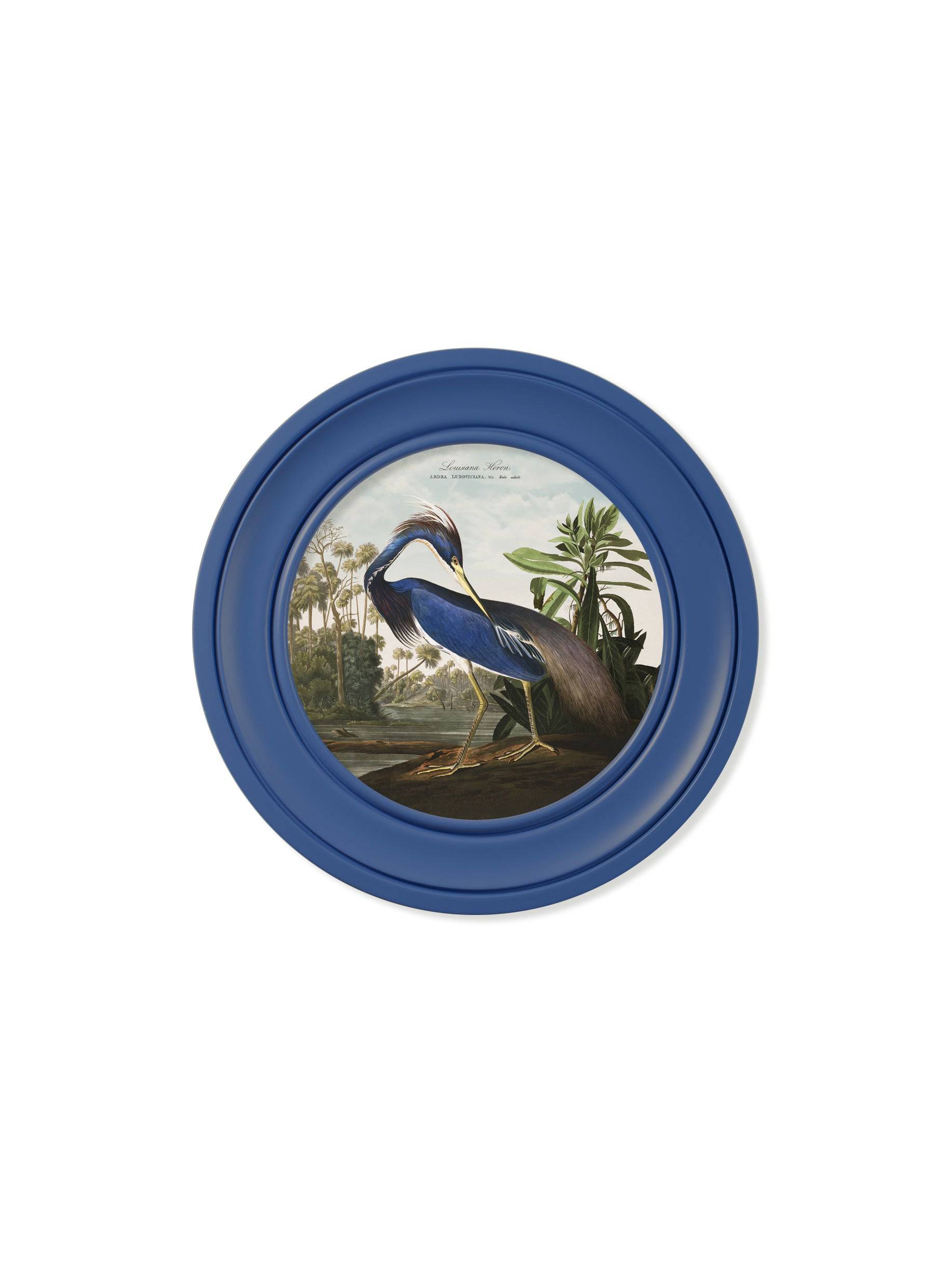 c.1838 Audubon's Louisana Heron in Blue Frame - Blythe Living