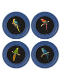 C.1884 Collection of Macaws in Round Frames Blue - Blythe Living