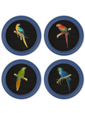 C.1884 Collection of Macaws in Round Frames Blue - Blythe Living