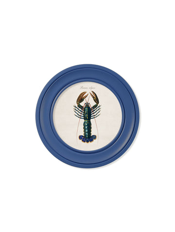 c.1876 Marine Lobster in Round Frames Blue - Blythe Living