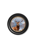 c.1851 Monarch of The Glen - Round Frame - Blythe Living