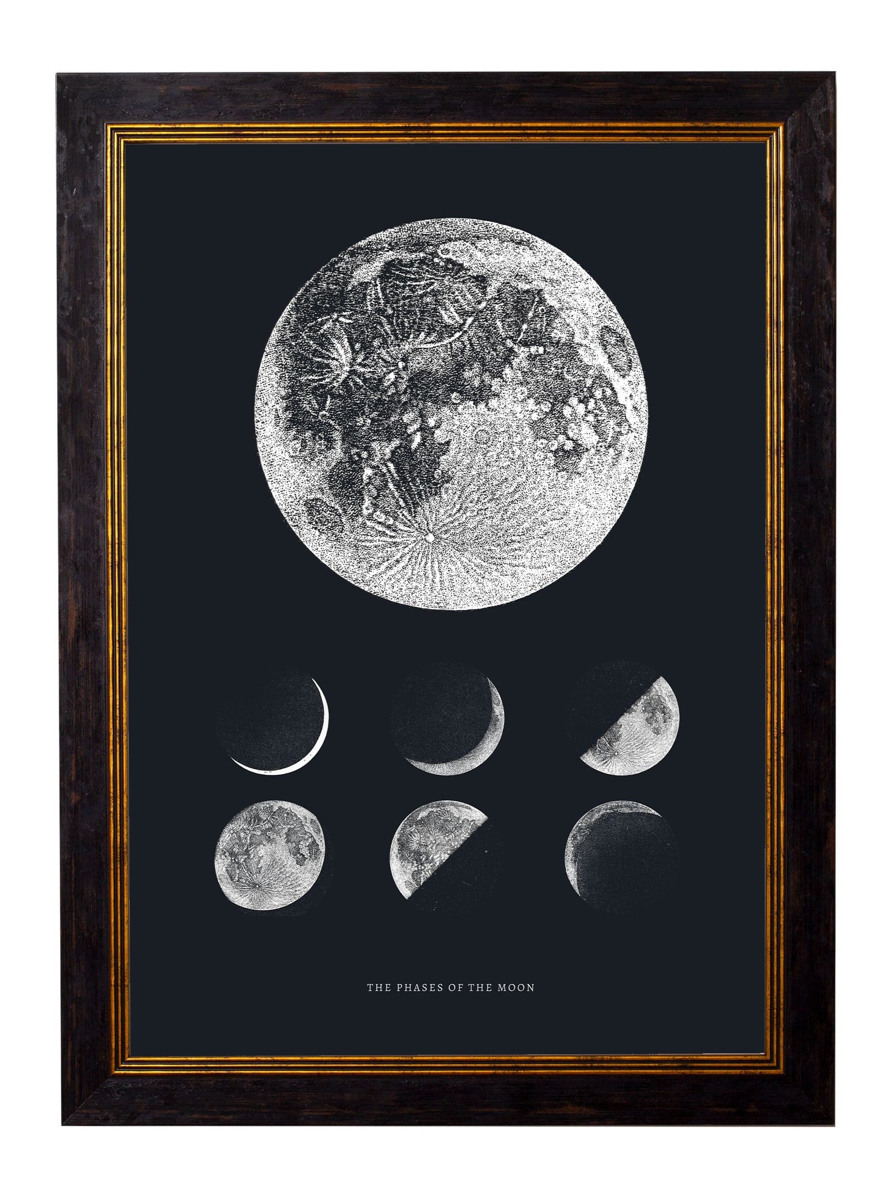 c.1800 Phases of the Moon - Blythe Living