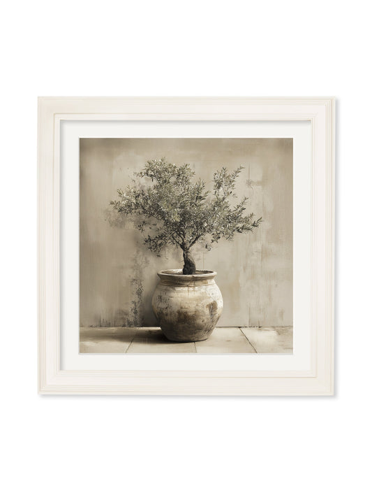 The Olive Tree - Cream Hurstwood Square Frame - Blythe Living