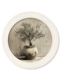 The Olive Tree - Oxford Strong White Round Frame - Blythe Living