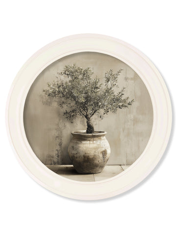 The Olive Tree - Oxford Strong White Round Frame - Blythe Living