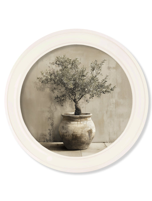 The Olive Tree - Oxford Strong White Round Frame - Blythe Living
