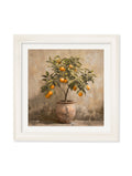 Mediterranean Orange Tree - Cream Hurstwood Square Frame - Blythe Living