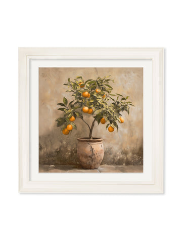 Mediterranean Orange Tree - Cream Hurstwood Square Frame - Blythe Living