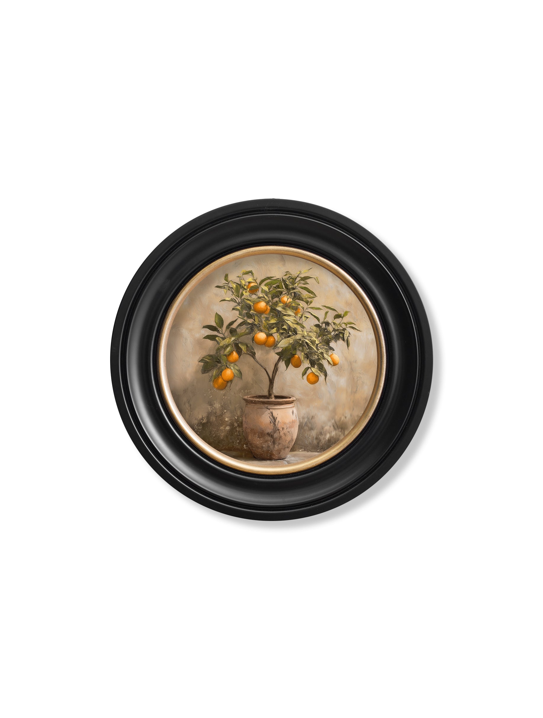 Mediterranean Orange Tree - Oxford Round Frame - Blythe Living
