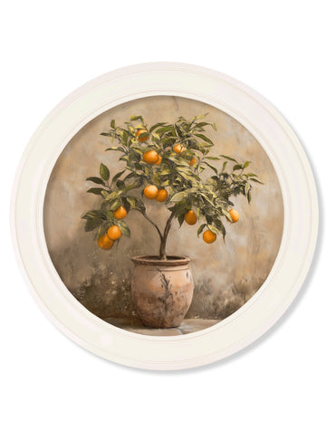 Mediterranean Orange Tree - Oxford Strong White Round Frame - Blythe Living