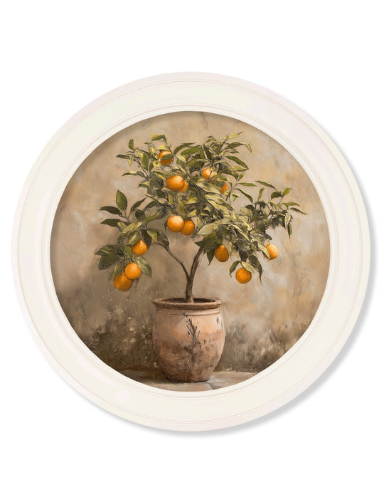 Mediterranean Orange Tree - Oxford Strong White Round Frame - Blythe Living