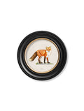 Order 19th-century British fox print Blythe Living