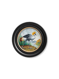 Order Black Crowned Crane watercolour prints Blythe Living