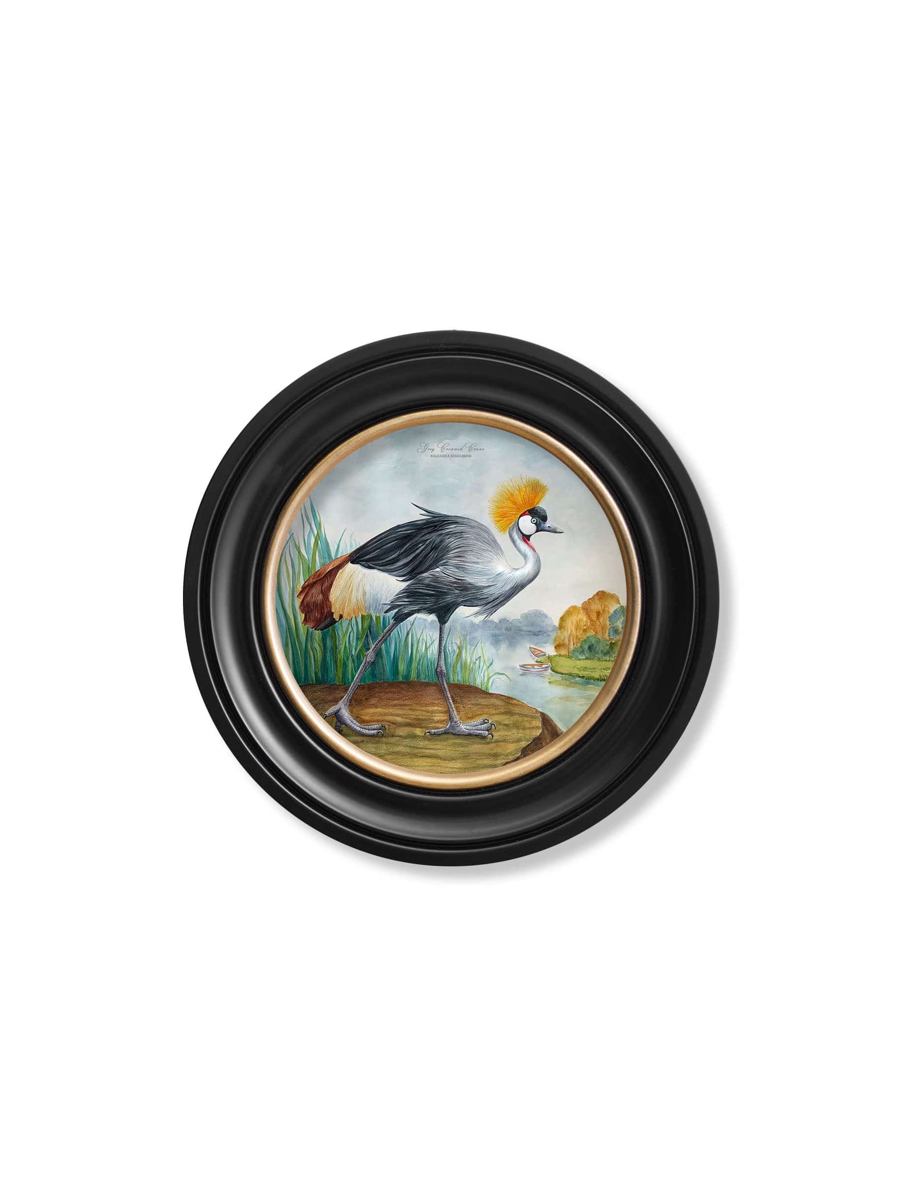 Order Black Crowned Crane watercolour prints Blythe Living