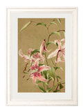 Order Floral Group framed botanical prints free UK delivery Blythe Living
