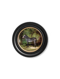 Order George Stubbs Zebra circular wall art online free UK delivery
