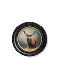 Order Highland Stag Oxford Round Frame free UK delivery online
