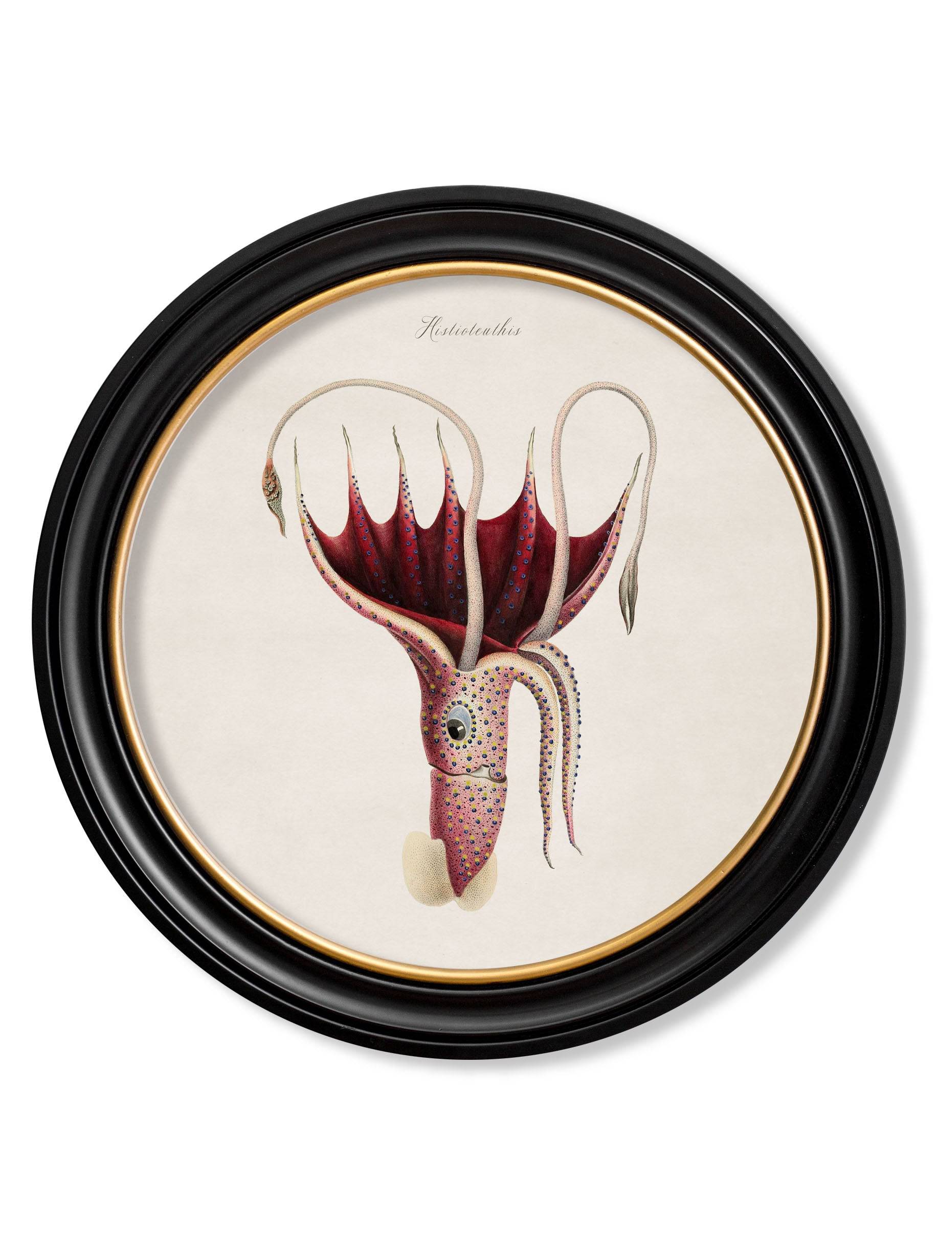 Order Set of 4 c.1876 Marine Prints in Round Oxford Frames with Minimal Carbon Footprint