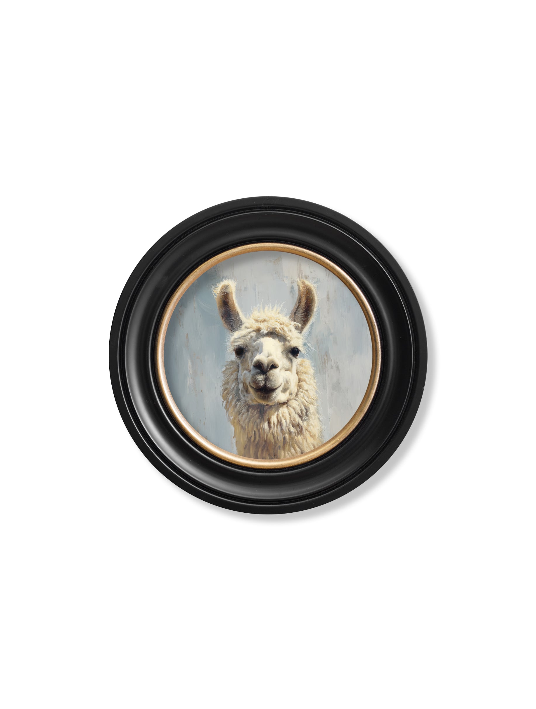 Order The Goofy Llama Oxford Round frame free UK delivery
