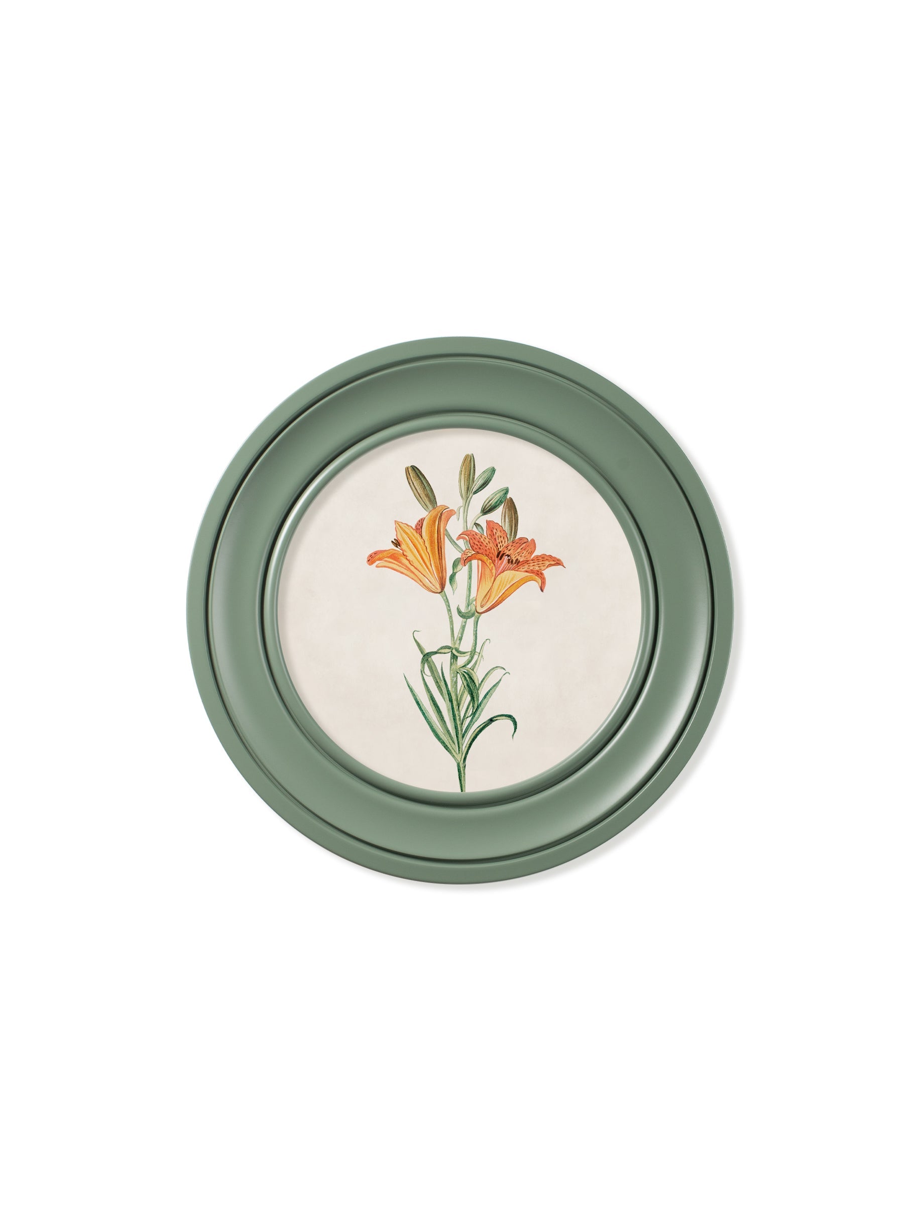 Order c.1780 Flowering Plants Round Frame Green free delivery