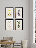 Order c.1835 Butterflies Framed Art Set of 4 