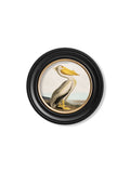 Order c.1838 Audubon's Pelican Light Round Framed Print for sale UK
