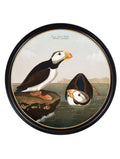 Order c.1838 Audubon's Puffins Round Framed Art Set of 2 - Blythe Living