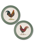 Order c.1838 Junglefowl in Round Frames Green free UK delivery
