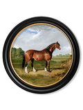 Order c.1840 Horses Round Framed Print for sale UK free delivery
