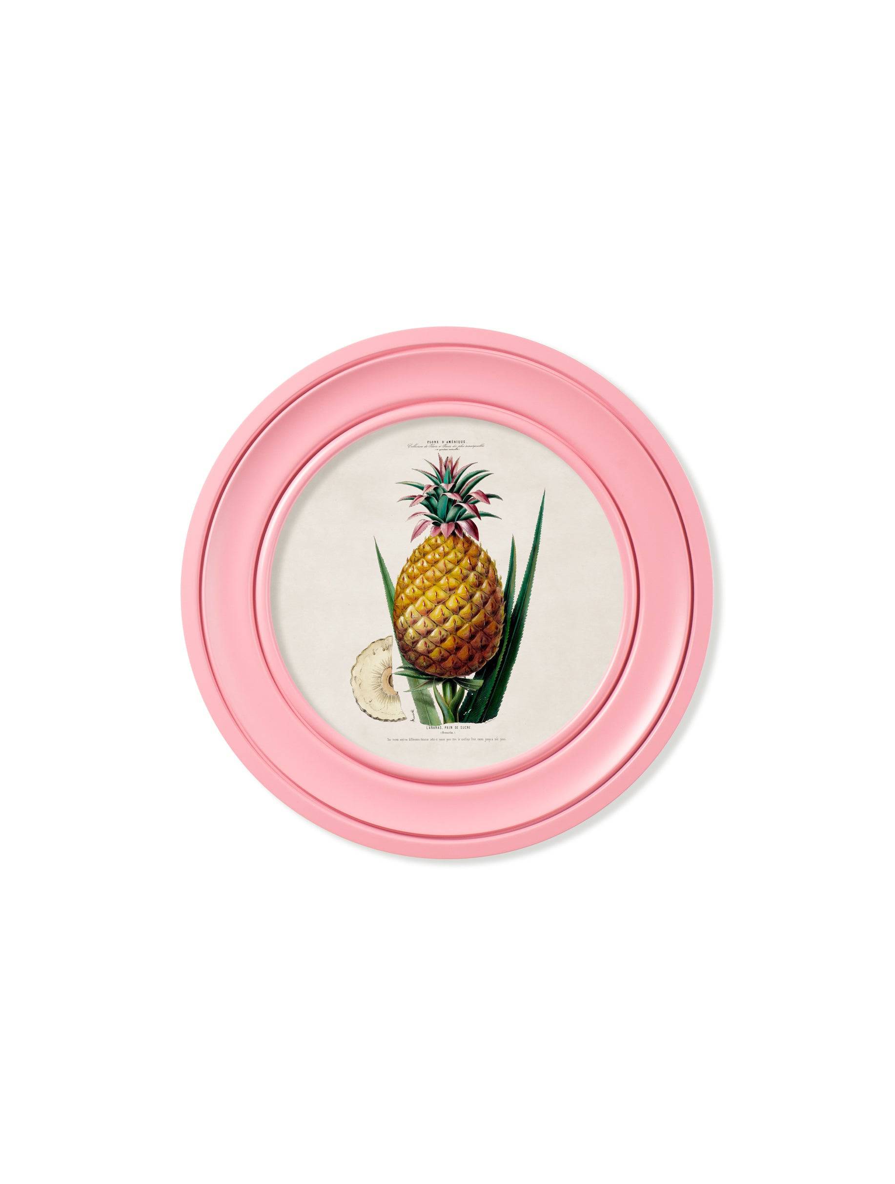Order c.1843 Pineapple Plant Round Frame Pink free UK delivery
