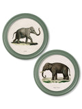 Order c.1846 Elephants in Round Frame Green free UK delivery
