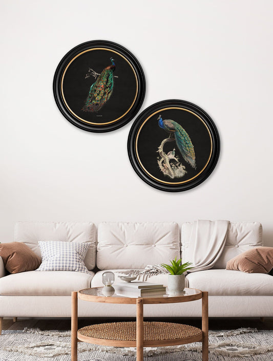 Order c.1847 dark peacock circular wall art pair free UK delivery
