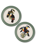 Order c.1848 Toucans Round Frames Green free UK delivery
