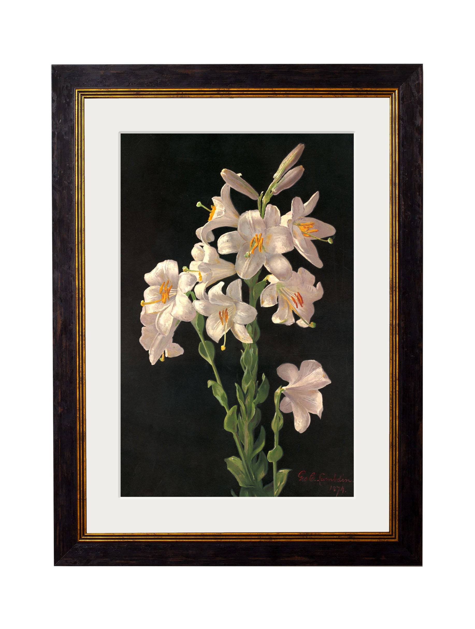 Order c.1874 George Cochran Lambdin Lilies art free UK delivery