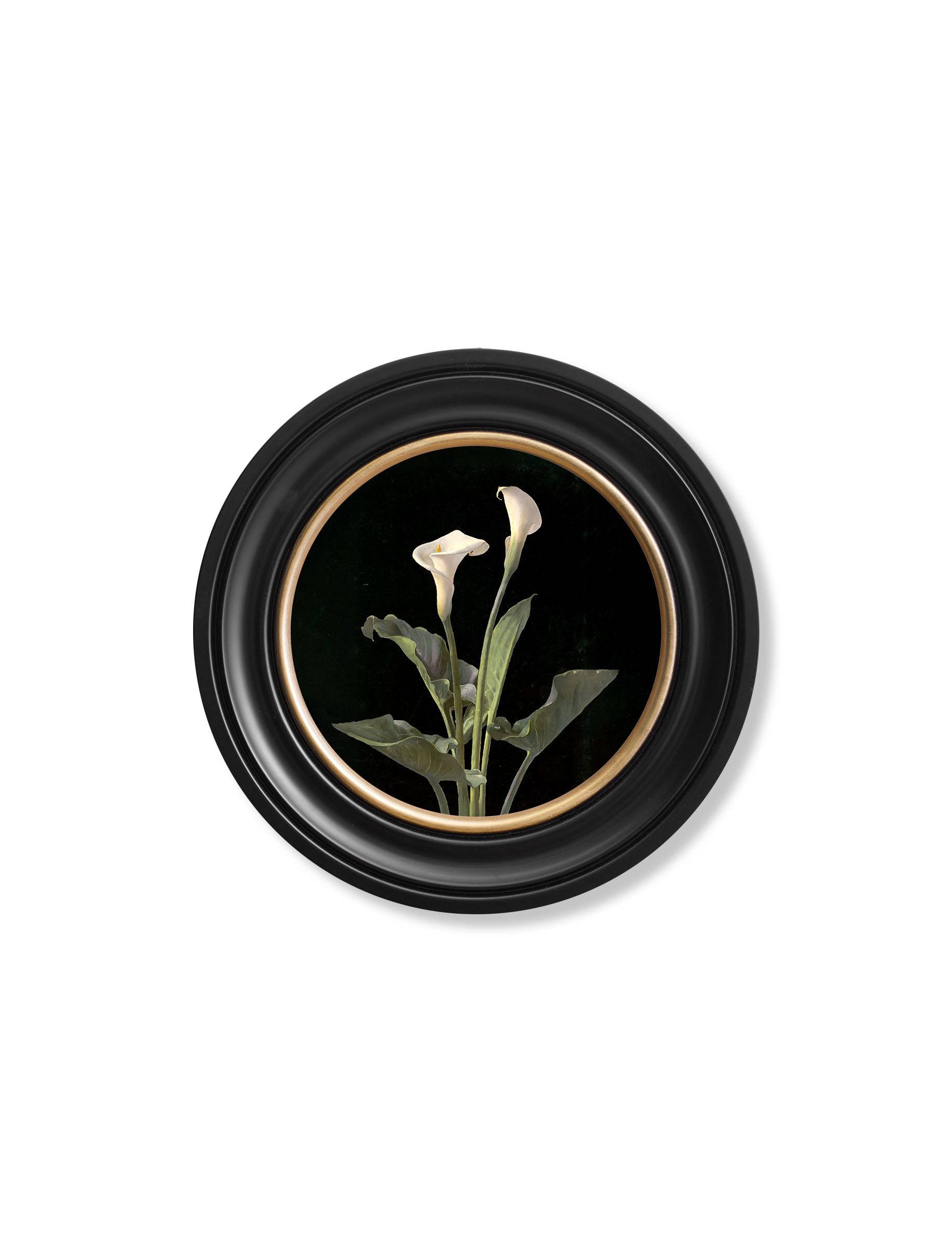 Order c.1874 George Cochran Lambdin Lillys Round Frame free UK delivery
