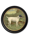 Order c.1881 Terriers Round Frame set of two UK delivery
