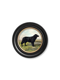 Order c.1881 Working Dogs Round Frame 70x70cm online UK
