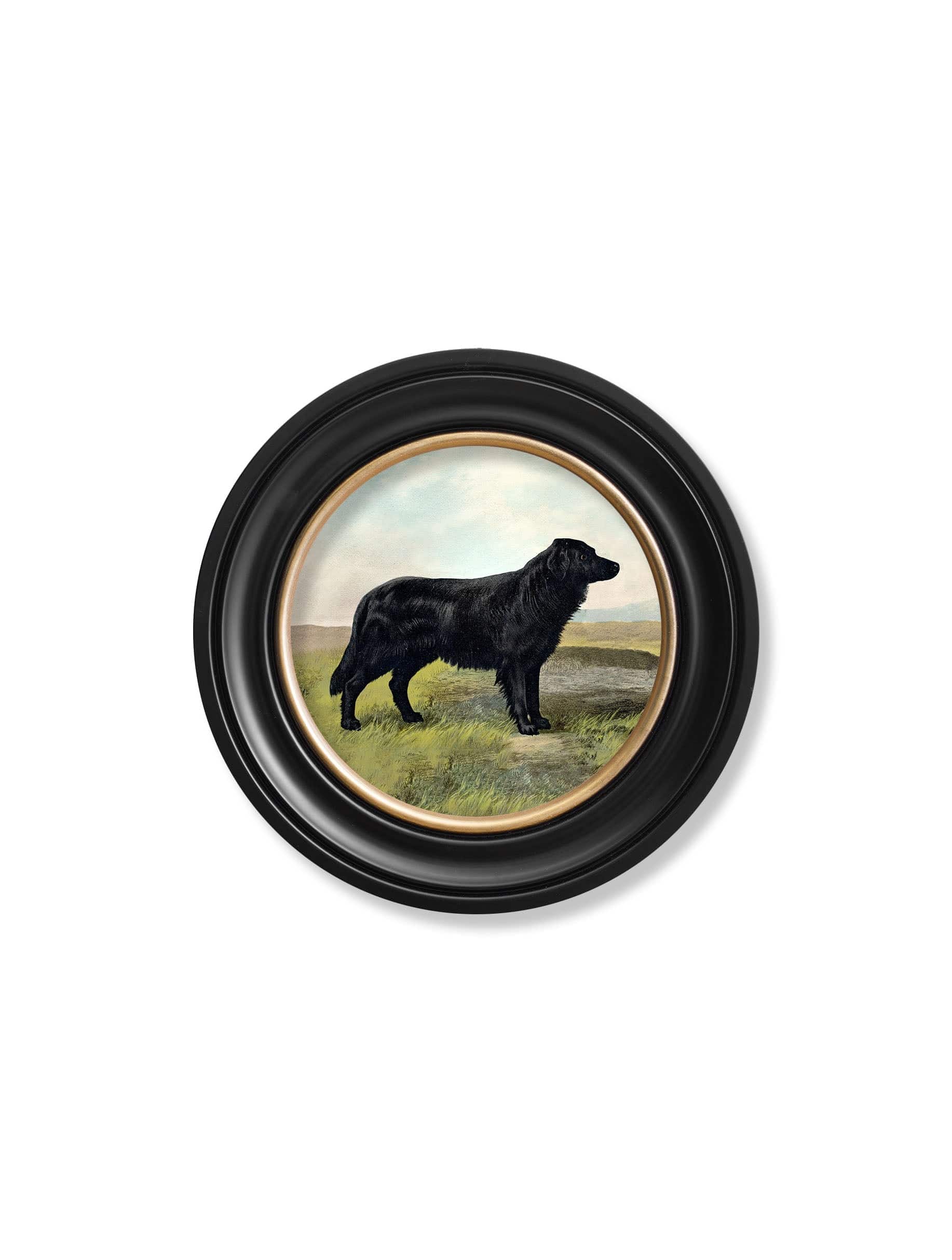 Order c.1881 Working Dogs Round Frame 70x70cm online UK
