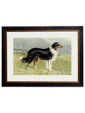 Order c.1881 Working Dogs framed print free UK delivery
