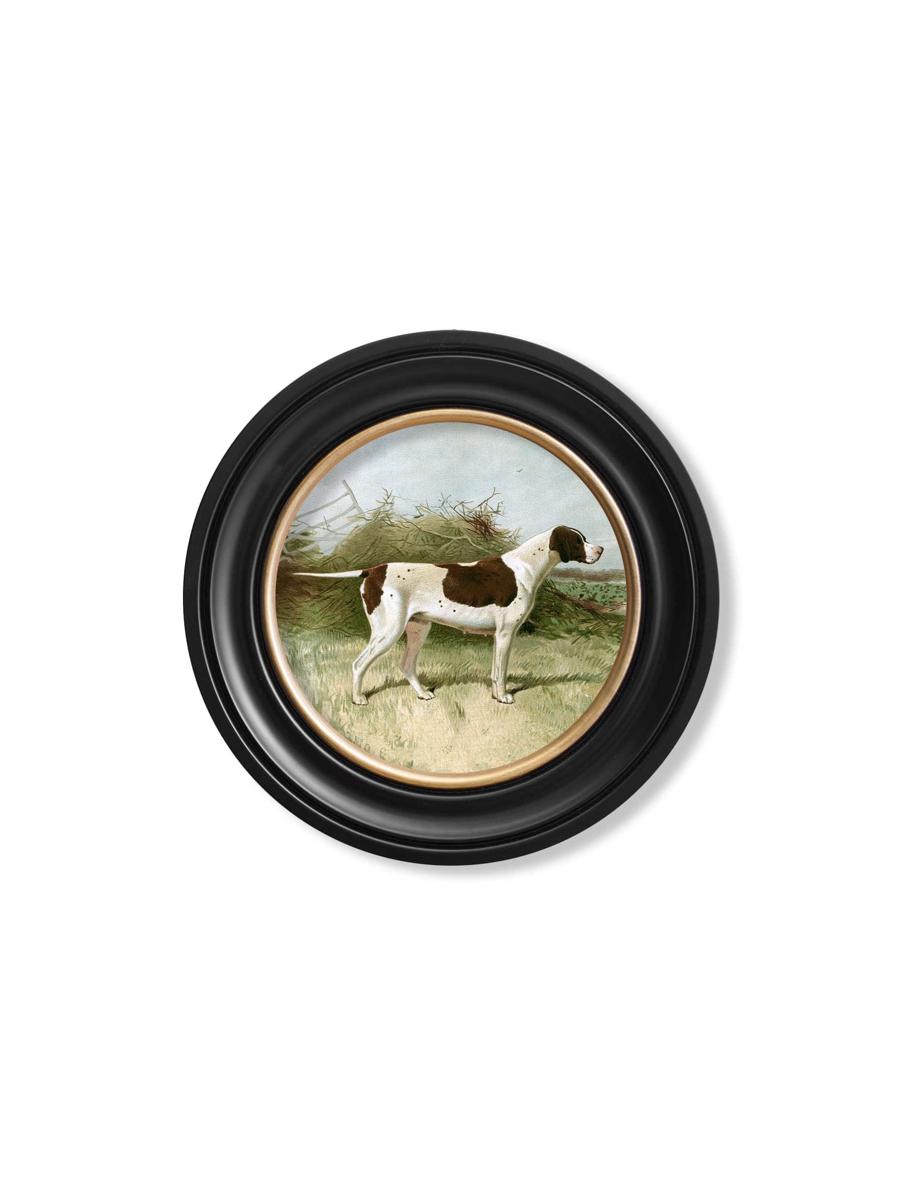 Order c.1881 vintage working gundog round wall art free UK delivery
