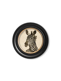 Order c1890 zebra illustration dark round frame wall art UK
