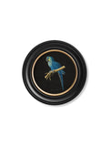Order circular framed macaw collection prints free UK delivery